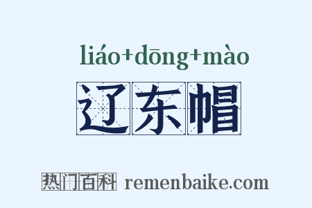 辽东帽是什么意思的图片